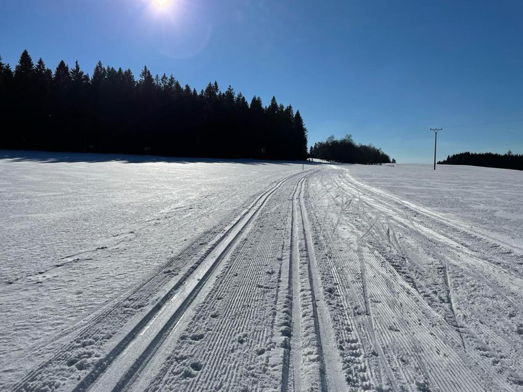 Apartmany Hajovna Lipno Loučovice 外观 照片