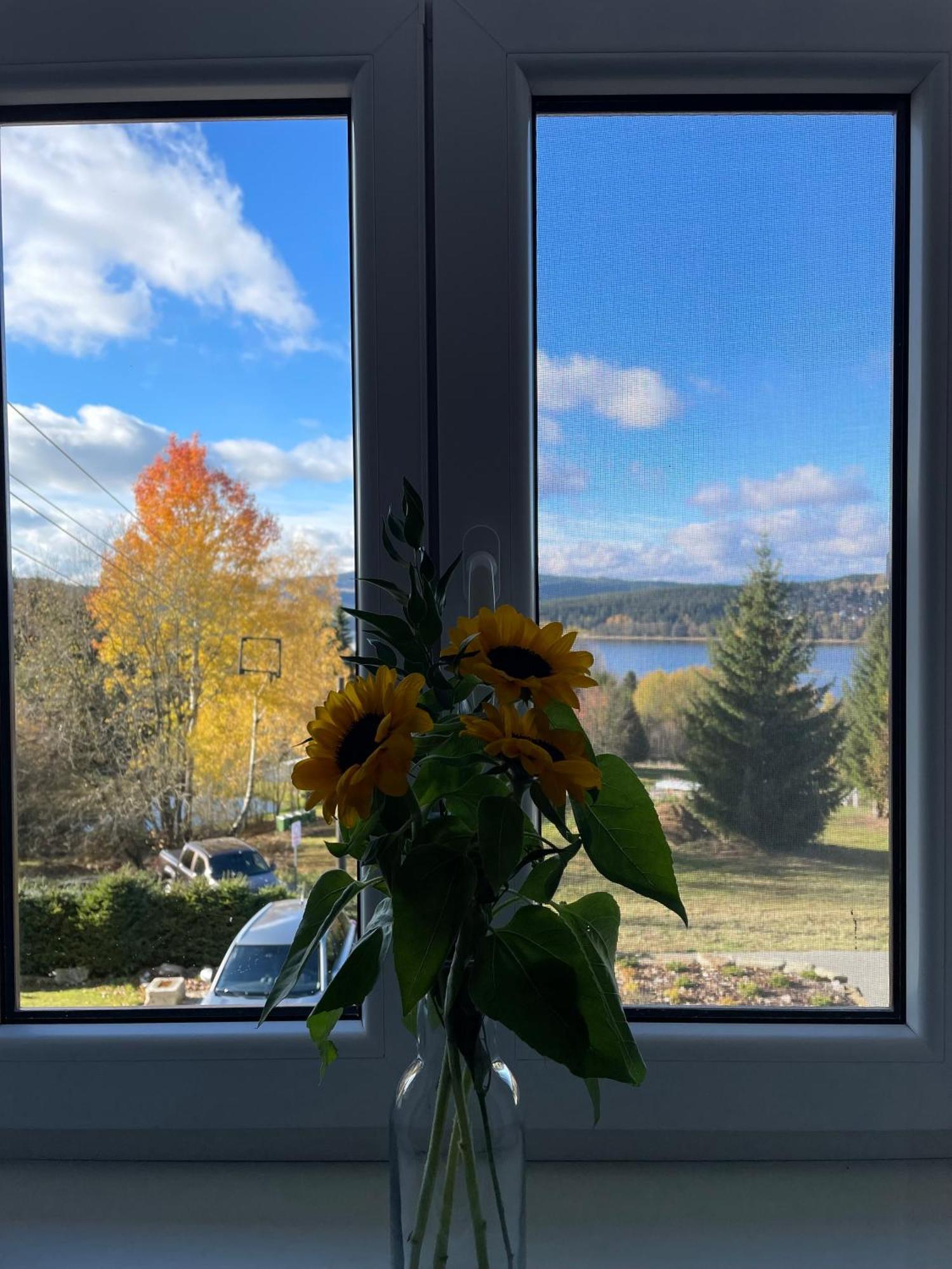 Apartmany Hajovna Lipno Loučovice 外观 照片