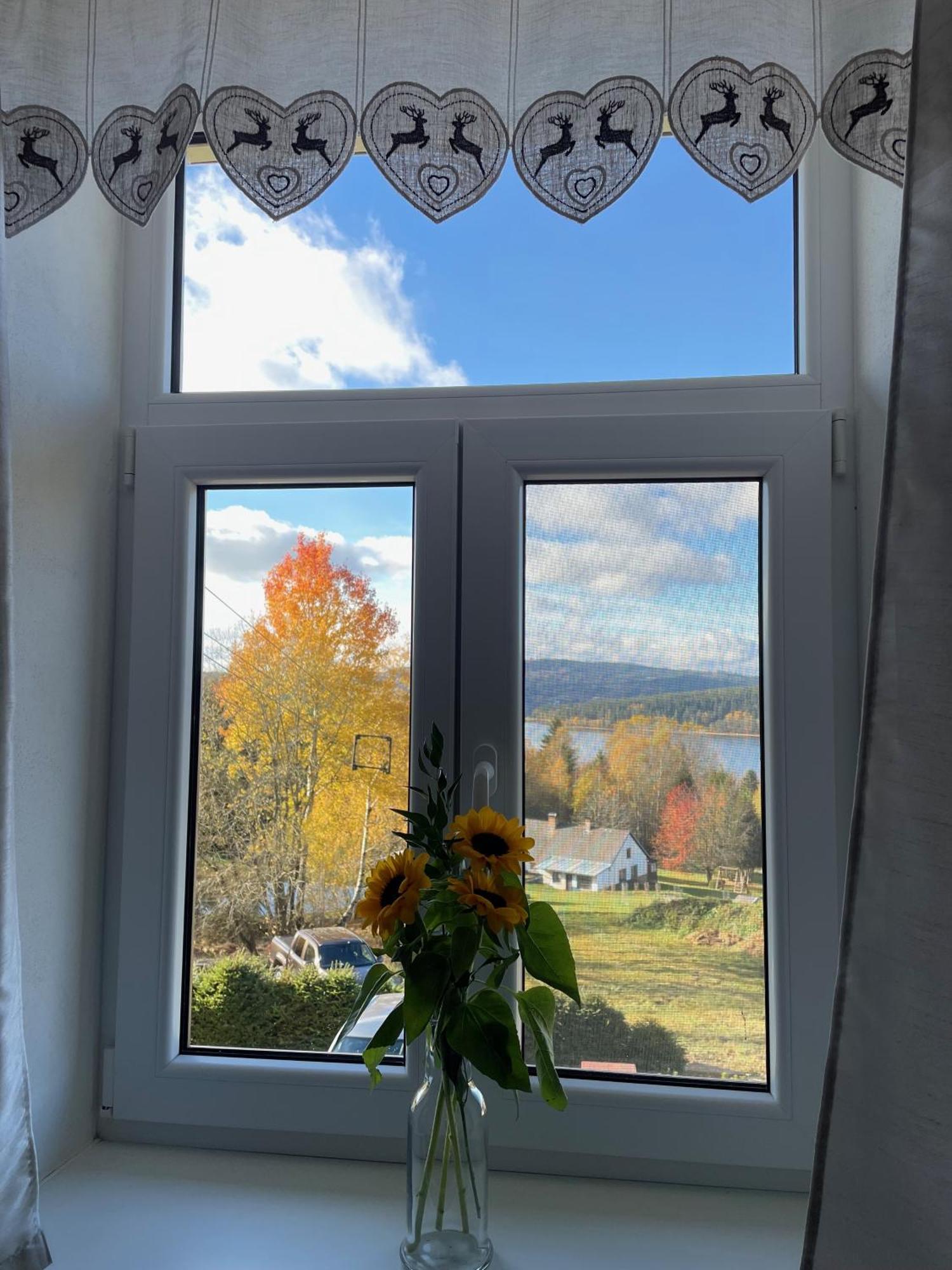 Apartmany Hajovna Lipno Loučovice 外观 照片